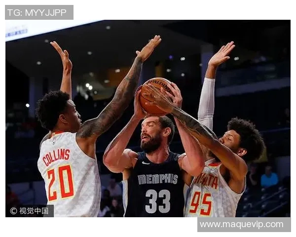 老鹰与灰熊激战正酣24小时直播精彩瞬间回顾与分析