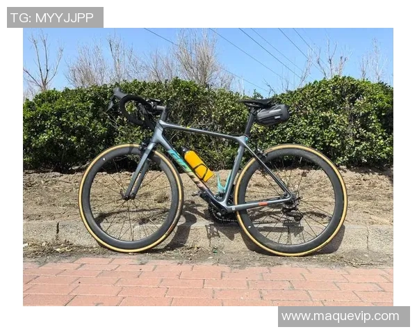 探索gamma自行车的创新设计与骑行体验提升之道