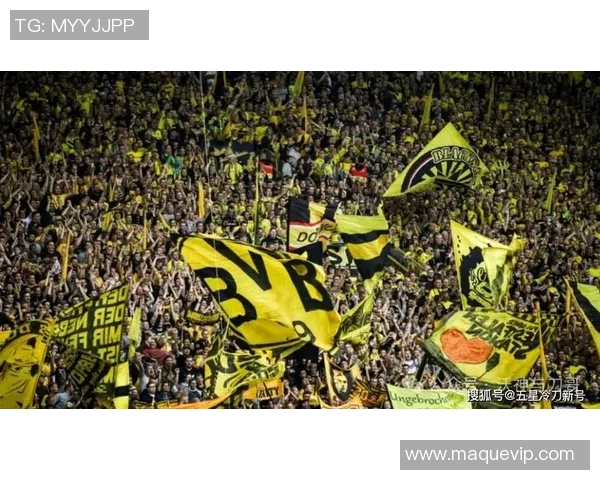 欧洲杯主办城市：伦敦迎接巨大挑战