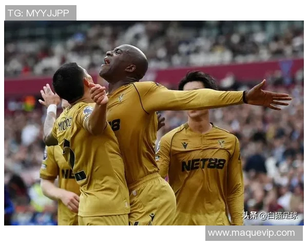 加的夫城与水晶宫的激烈对决揭示英超新赛季的竞争格局与球队实力对比